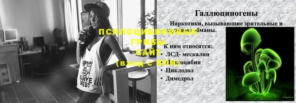 спиды Абаза