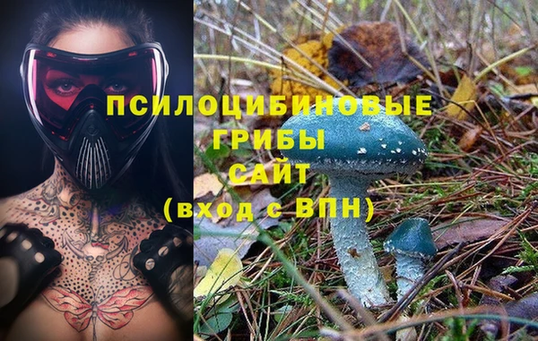 винт Абинск