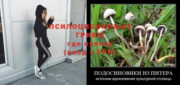 винт Абинск